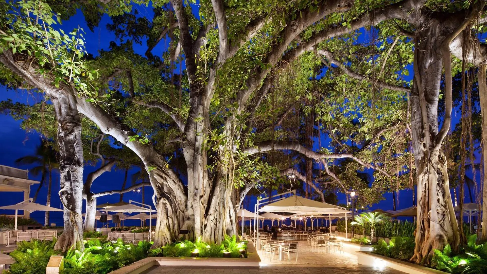 Moana Surfrider, A Westin Resort & Spa, Waikiki Beach Honolulu